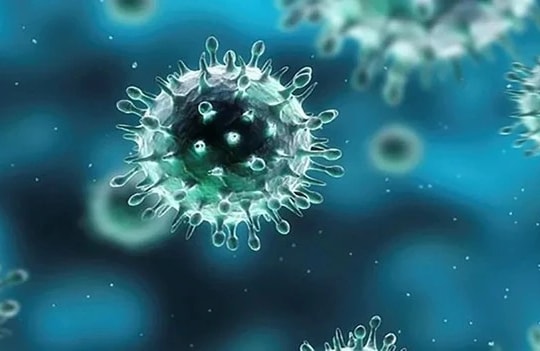 Bộ Y tế thông tin về đợt bùng phát dịch cúm mùa tại Nhật Bản và nhiều quốc gia