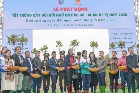 Trồng cây gây rừng bảo vệ môi trường sinh thái