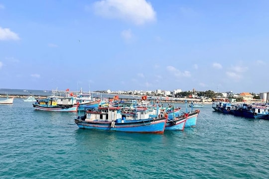 Ngư dân Bình Thuận vươn khơi bám biển ngày đầu năm mới