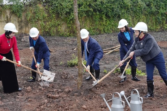 Tạo dựng không gian làm việc trong lành, nâng cao chất lượng cuộc sống
