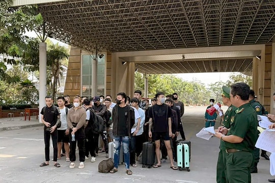 Tây Ninh tiếp nhận 177 công dân từ Campuchia, 176 người làm cho công ty lừa đảo
