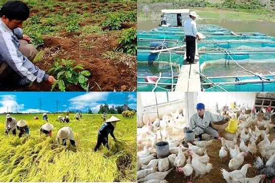 Khai mở dư địa mới…