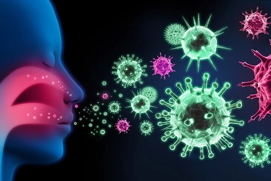 TP. Hồ Chí Minh: Tăng cường công tác phòng, chống dịch cúm mùa