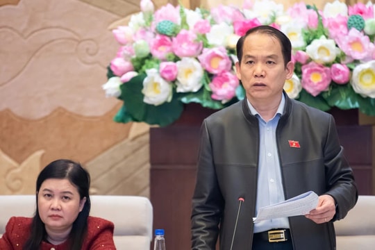 Thẩm tra dự án Luật Ban hành văn bản quy phạm pháp luật (sửa đổi)