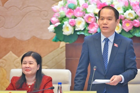 Ủy ban Pháp luật họp Phiên toàn thể lần thứ 31