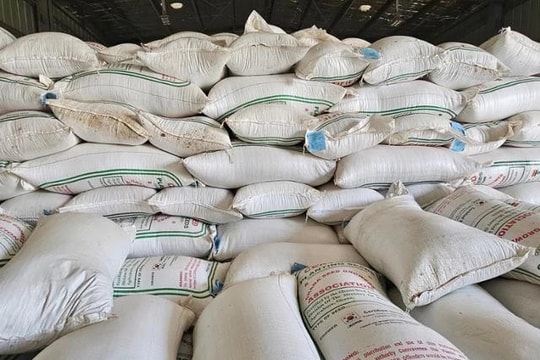 Hàn Quốc sẽ mở rộng hỗ trợ nông nghiệp cho 50 quốc gia vào năm 2029 