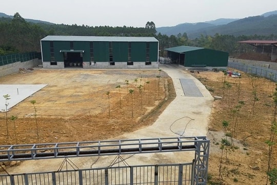 Bắc Giang: Công ty TNHH Đại Lục Phát xây dựng không phép, vi phạm pháp luật về môi trường