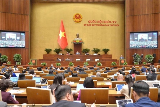 Xử lý kịp thời các vấn đề phát sinh, tránh khoảng trống pháp luật 