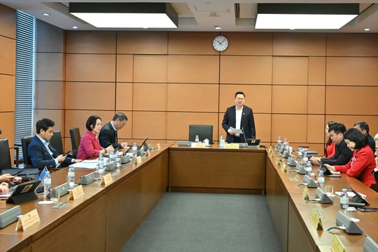 Tổng kết, đánh giá hiệu quả mô hình chính quyền đô thị