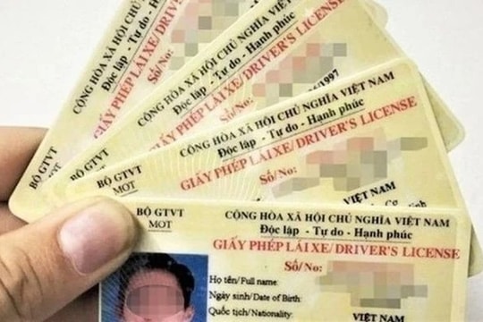Lào Cai dừng tiếp nhận, giải quyết hồ sơ, cấp đổi giấy phép lái xe