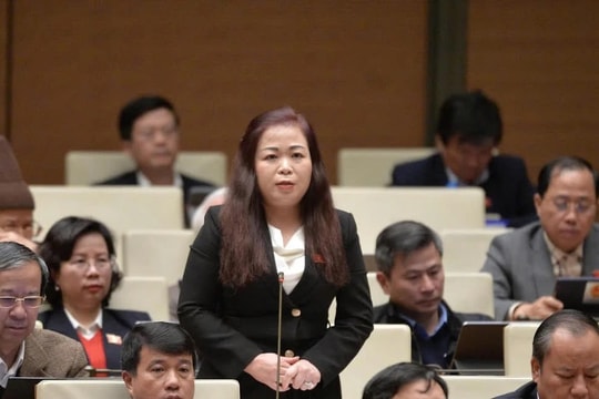 Tham vấn chính sách - tiếp cận chính sách “từ sớm, từ xa”