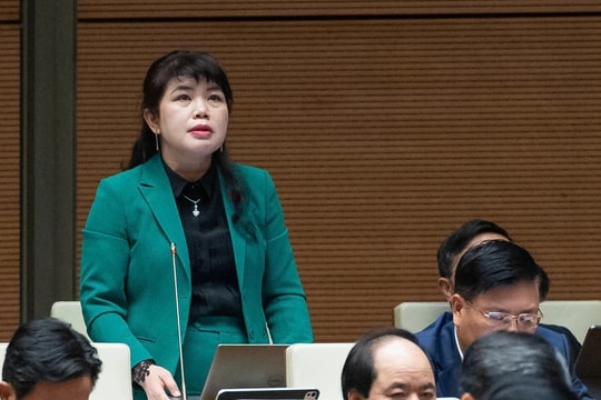 Phân quyền cho chính quyền địa phương thực hiện một số chính sách chưa được pháp luật quy định