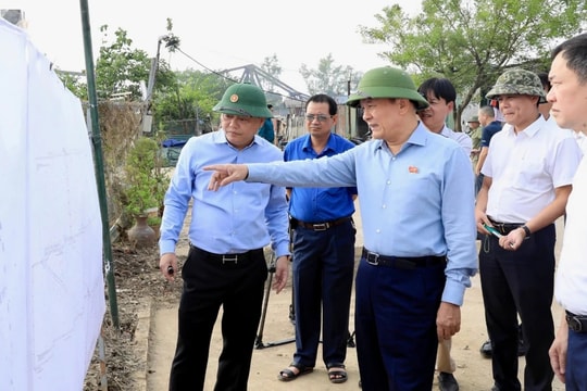 Sớm xử lý dứt điểm vi phạm trật tự xây dựng khu vực ngoài đê