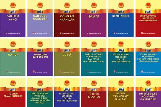 Tăng cường hướng dẫn áp dụng để bảo đảm sức sống của văn bản quy phạm pháp luật