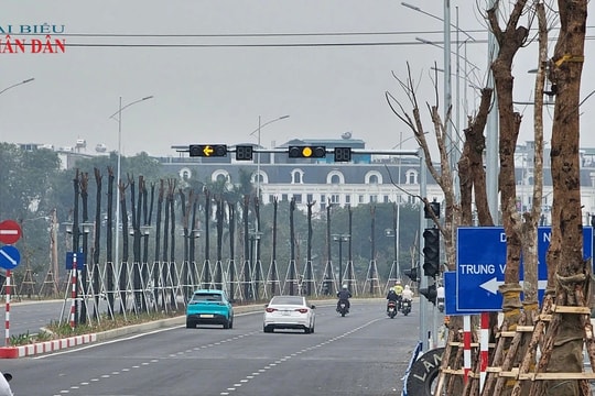 Vụ cây trồng trên đường Lê Quang Đạo kéo dài có dấu hiệu 'khô héo': Lộ diện doanh nghiệp thường xuyên trúng thầu vốn ngân sách "khủng" với tỷ lệ tiết kiệm dưới 1%