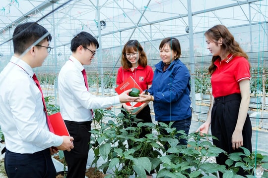 Agribank thúc đẩy tăng trưởng từ đầu năm