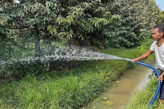 Thủ tướng Chính phủ ban hành Công điện về chủ động ứng phó đợt xâm nhập mặn cao điểm