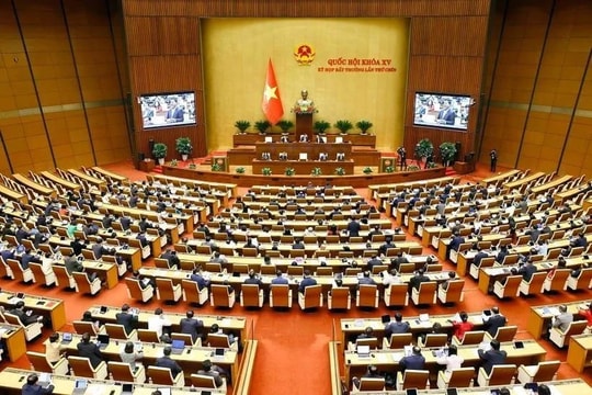 Revised law on organisation of Government set to be adopted on Feb.18
