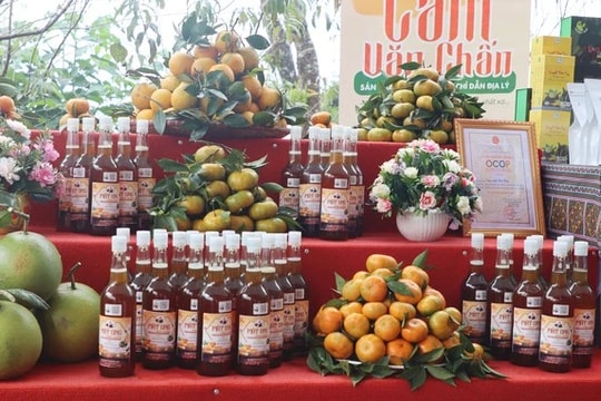 Yên Bái có 59 sản phẩm được cấp văn bằng bảo hộ sở hữu trí tuệ