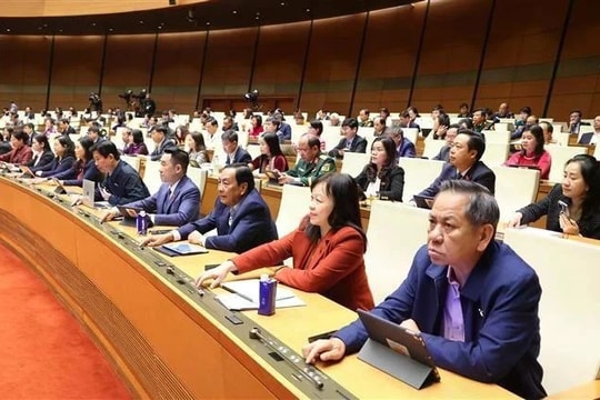 National Assembly adopts two revised laws