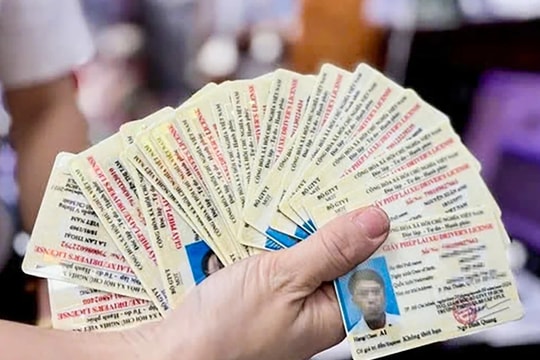 Sở Giao thông Vận tải Bình Dương dừng thủ tục cấp, đổi giấy phép lái xe