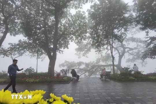 Bắc Bộ sẽ duy trì mưa nhỏ, sương mù trong vài ngày tới