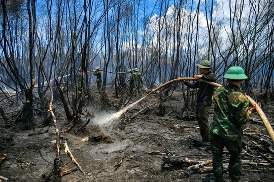 Kiên Giang: Tăng cường phòng, chống cháy rừng tại TP. Phú Quốc