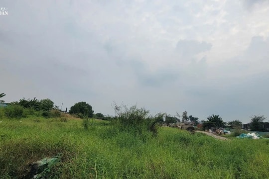 TP. Hồ Chí Minh: Kiến nghị xử lý vi phạm để trống, bỏ hoang đất khi được Nhà nước giao, cho thuê