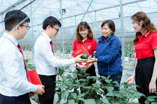 Hướng tới "Tam nông xanh"