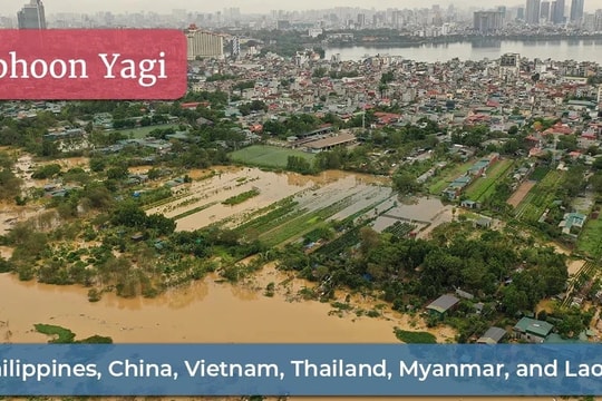 ASEAN vượt qua "cơn bão kinh tế"?