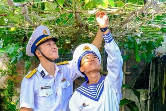 Đã trồng 90.000 cây xanh trên quần đảo Trường Sa