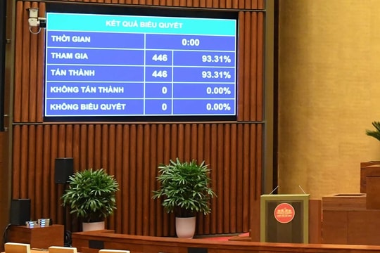 NGHỊ QUYẾT Về nhiệm vụ, quyền hạn cụ thể và cơ cấu tổ chức của Hội đồng Dân tộc, các Ủy ban của Quốc hội 