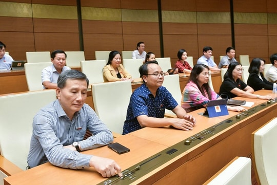 Dự kiến sẽ giám sát trực tiếp tại 15 địa phương