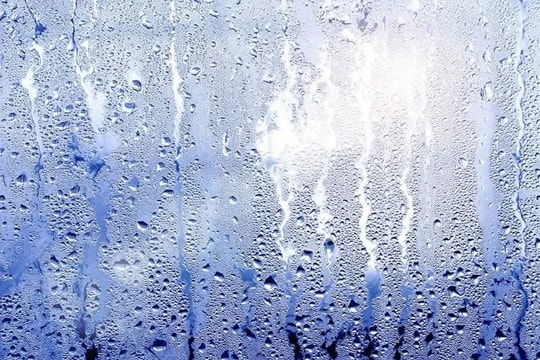 5 bí quyết giữ nhà cửa khô ráo trong những ngày nồm ẩm