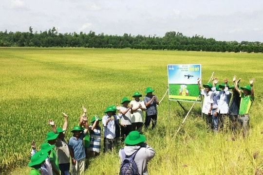 PVFCCo đưa công nghệ mới vào sản xuất nông nghiệp