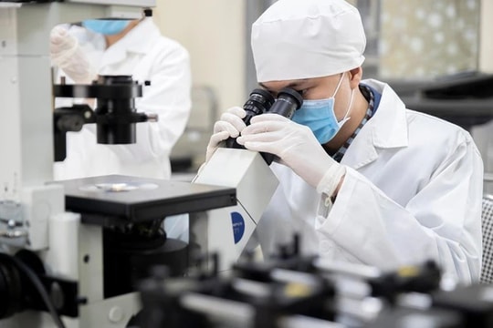 Chính sách vượt trội với chuyên gia cao cấp