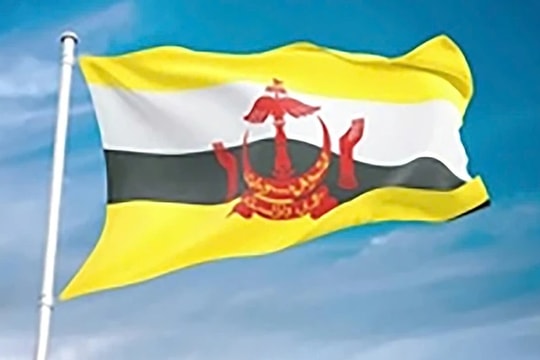 Điện mừng Quốc khánh lần thứ 41 của Brunei Darussalam