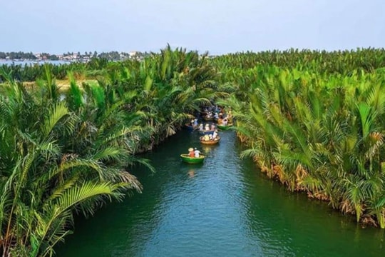 Hội An tổ chức 17 tuyến tham quan di tích rừng dừa Bảy Mẫu