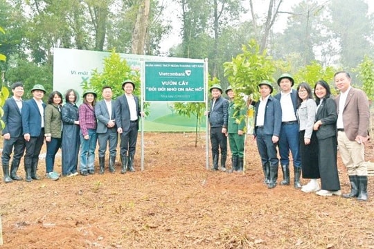 "Vietcombank - Vì một Việt Nam xanh" năm 2025