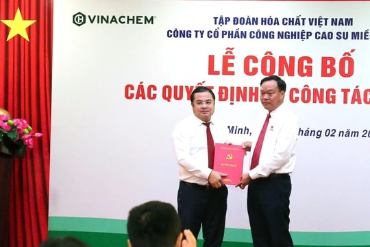Ông Nguyễn Đình Khoát giữ chức Tổng Giám đốc Casumina