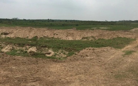 Đất nông nghiệp không sử dụng bị thu hồi có được bồi thường đất không?