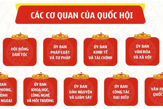 Cơ cấu tổ chức và nhân sự các cơ quan của Quốc hội Khóa XV
