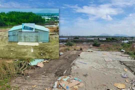 Các dự án bãi container ì ạch hơn 10 năm tại Bà Rịa - Vũng Tàu: Vi phạm thuộc trường hợp thu hồi đất, chấm dứt hoạt động dự án