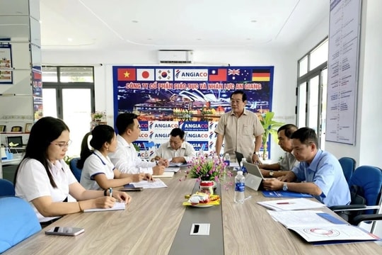 An Giang: Tăng cường kiểm tra các doanh nghiệp dạy thêm, học thêm