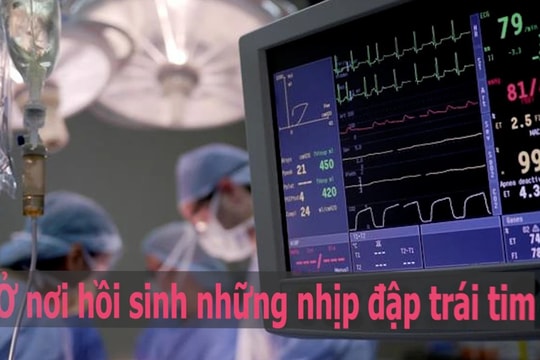 Nơi hồi sinh những nhịp đập trái tim