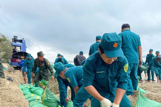 Quảng Ngãi: Huy động hàng trăm người gia cố khẩn cấp bờ biển Mỹ Khê