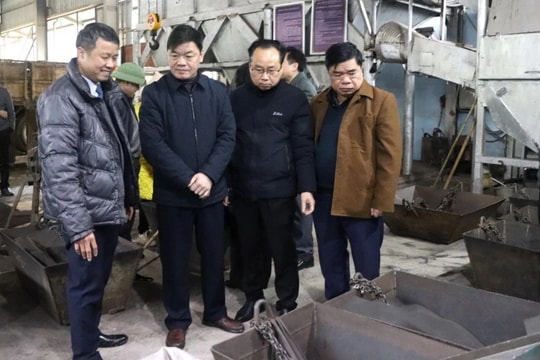 Định hướng lâu dài cho hoạt động khai thác khoáng sản