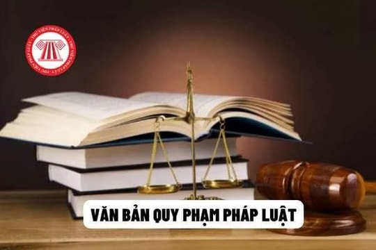 Quy định rõ trách nhiệm người đứng đầu cơ quan ban hành văn bản