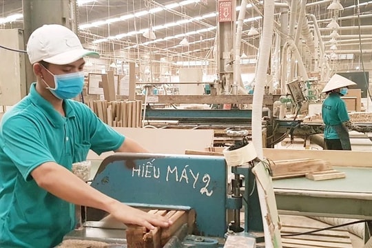 Mong đợi gì ở nghị quyết phát triển đột phá kinh tế tư nhân?