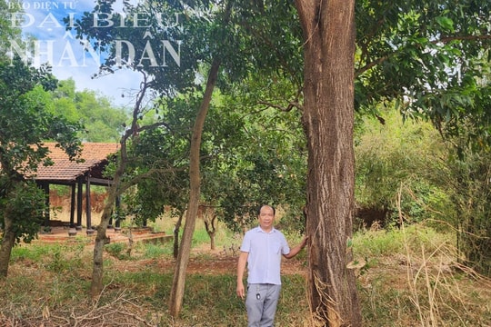 Bình Phước: Khu đất canh tác ổn định 37 năm chưa được cấp “sổ đỏ” dù đã được xác định có căn cứ xem xét